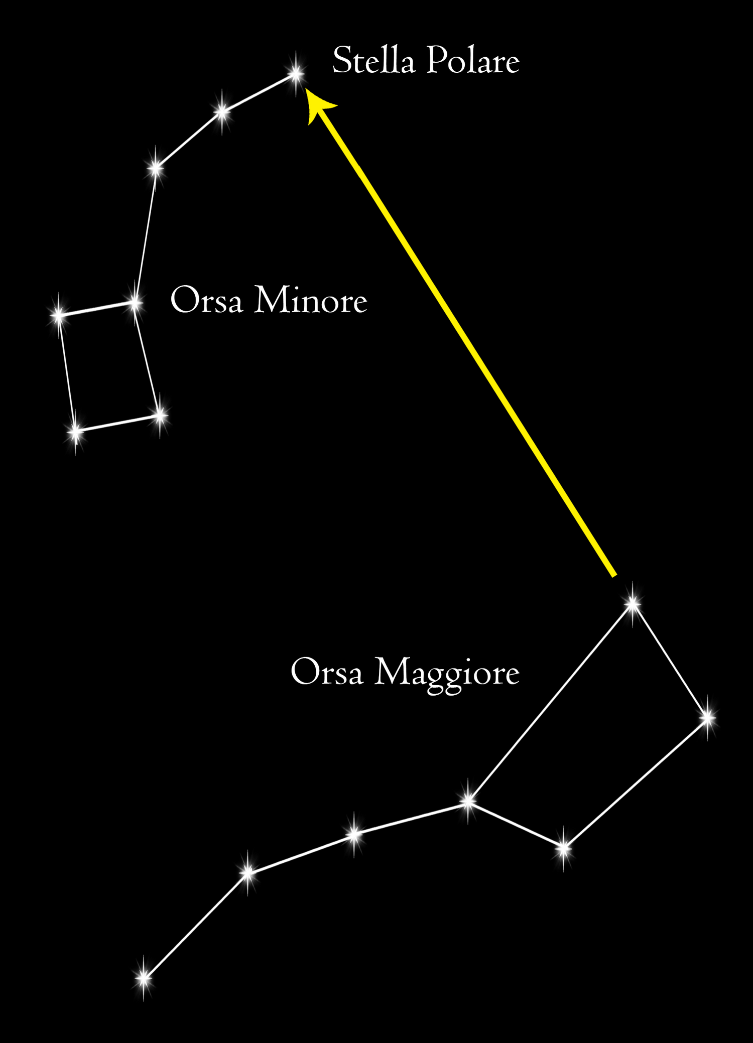 costellazione a cui appartiene la stella polare