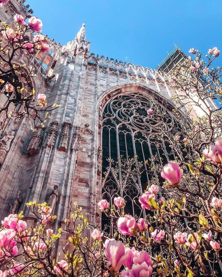 fiori primavera a milano